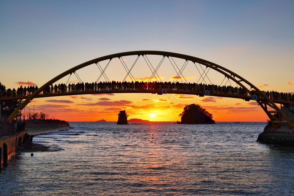 2026春季6大韓國旅遊景點推薦！江陵鏡浦湖櫻花海美翻天、首爾近郊跟羊駝近距離接觸太療癒！-8