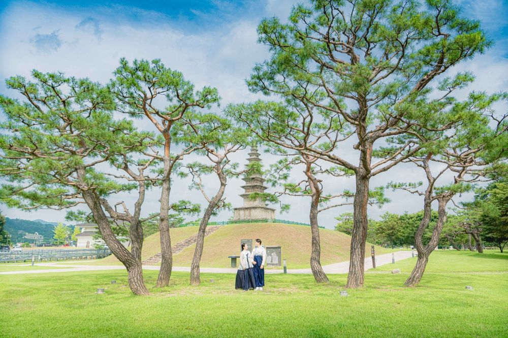 2026春季6大韓國旅遊景點推薦！江陵鏡浦湖櫻花海美翻天、首爾近郊跟羊駝近距離接觸太療癒！-16