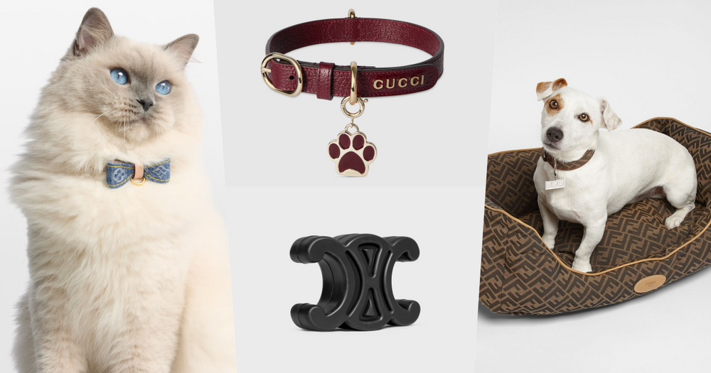 毛孩行頭比我還貴！8款奢華「精品寵物配件」推薦！LV蝴蝶結、GUCCI頸圈萌到爆、CELINE狗玩具擺著都好看！-1