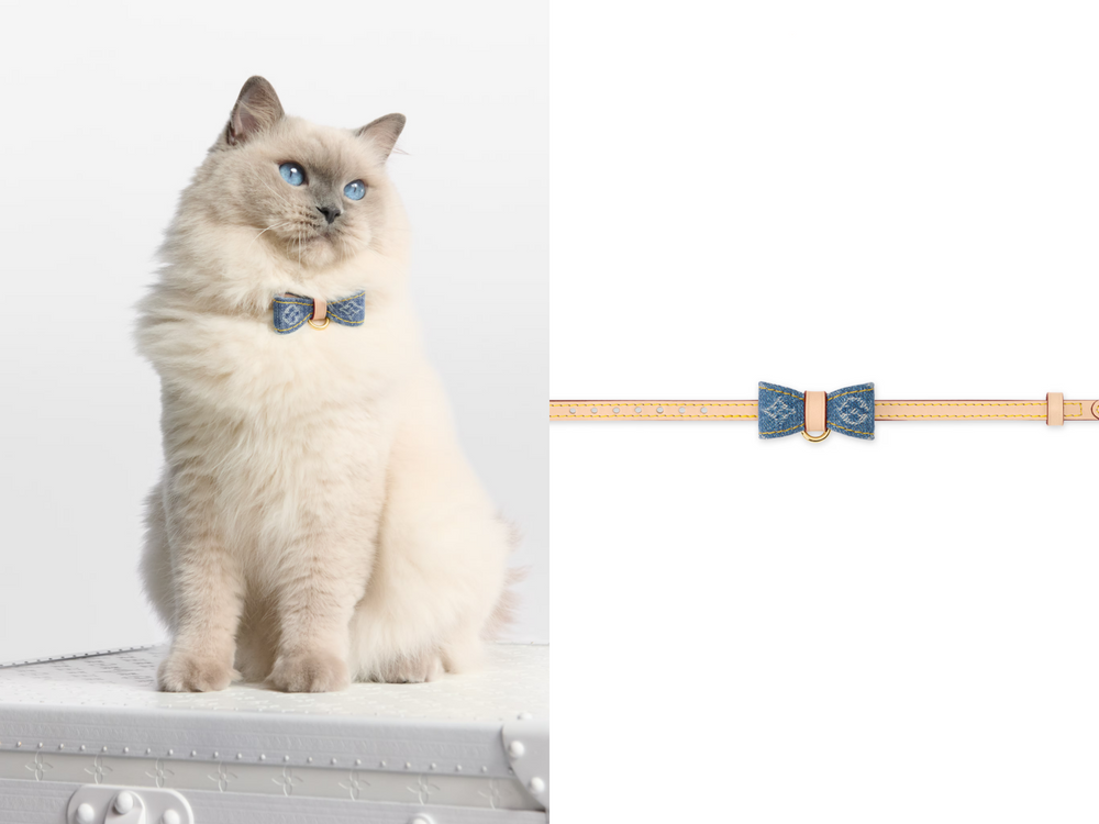 毛孩行頭比我還貴！8款奢華「精品寵物配件」推薦！LV蝴蝶結、GUCCI頸圈萌到爆、CELINE狗玩具擺著都好看！-2