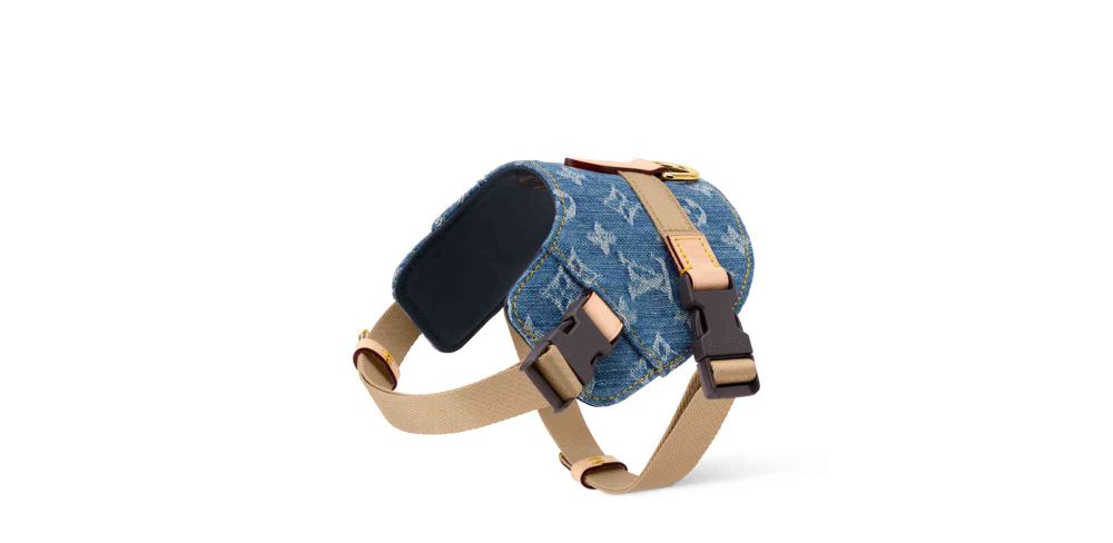 毛孩行頭比我還貴！8款奢華「精品寵物配件」推薦！LV蝴蝶結、GUCCI頸圈萌到爆、CELINE狗玩具擺著都好看！-5