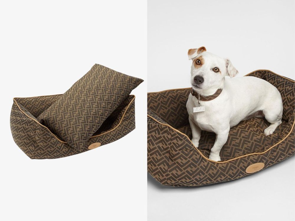 毛孩行頭比我還貴！8款奢華「精品寵物配件」推薦！LV蝴蝶結、GUCCI頸圈萌到爆、CELINE狗玩具擺著都好看！-9