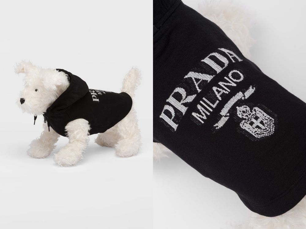 毛孩行頭比我還貴！8款奢華「精品寵物配件」推薦！LV蝴蝶結、GUCCI頸圈萌到爆、CELINE狗玩具擺著都好看！-8