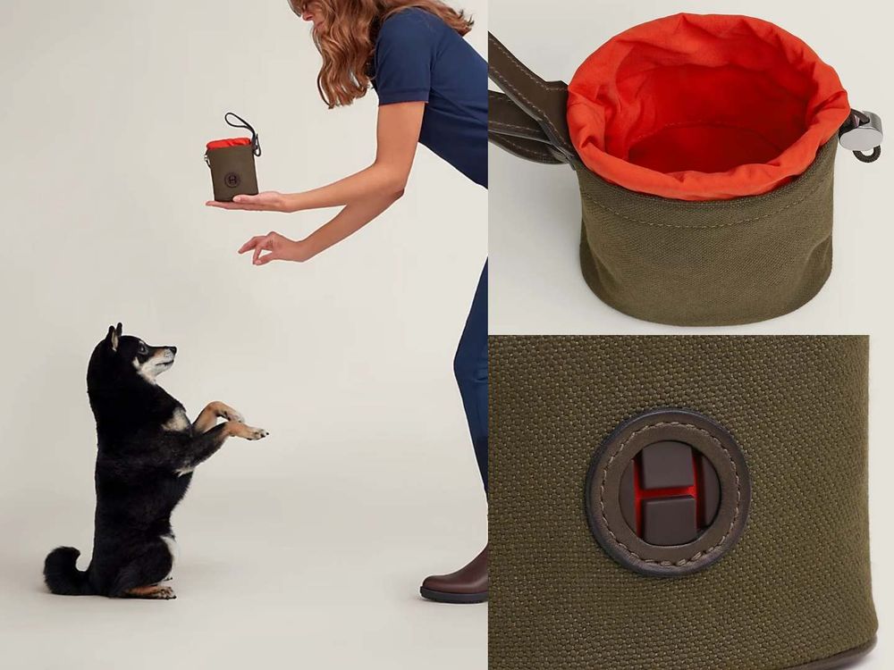 毛孩行頭比我還貴！8款奢華「精品寵物配件」推薦！LV蝴蝶結、GUCCI頸圈萌到爆、CELINE狗玩具擺著都好看！-13