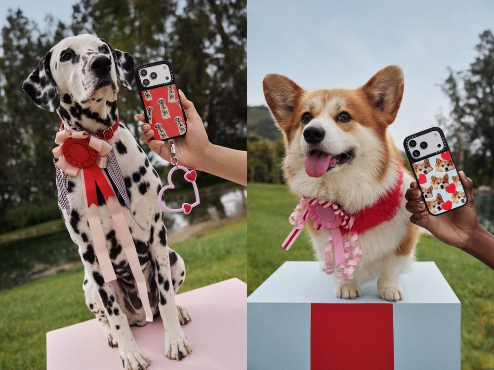 把毛孩印在手機殼上！CASETiFY推出客製化「寵物照片系列」呆呆大頭照、滿版小臉...快被可愛死！-5