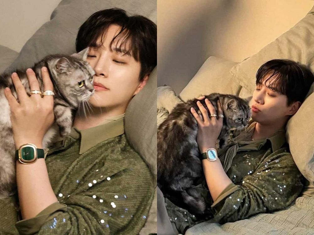 頂流韓星私下也是貓奴！SHINee泰民、Stray Kids Lee Know...，ZOA人氣不輸主人GD！-10