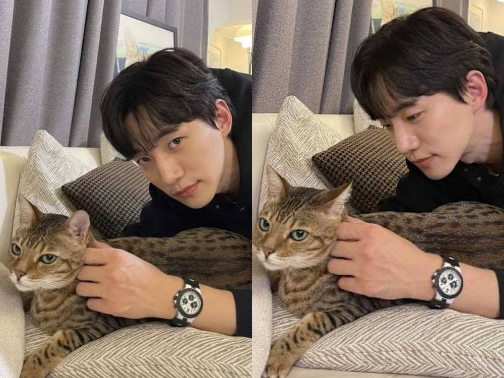 頂流韓星私下也是貓奴！SHINee泰民、Stray Kids Lee Know...，ZOA人氣不輸主人GD！-11