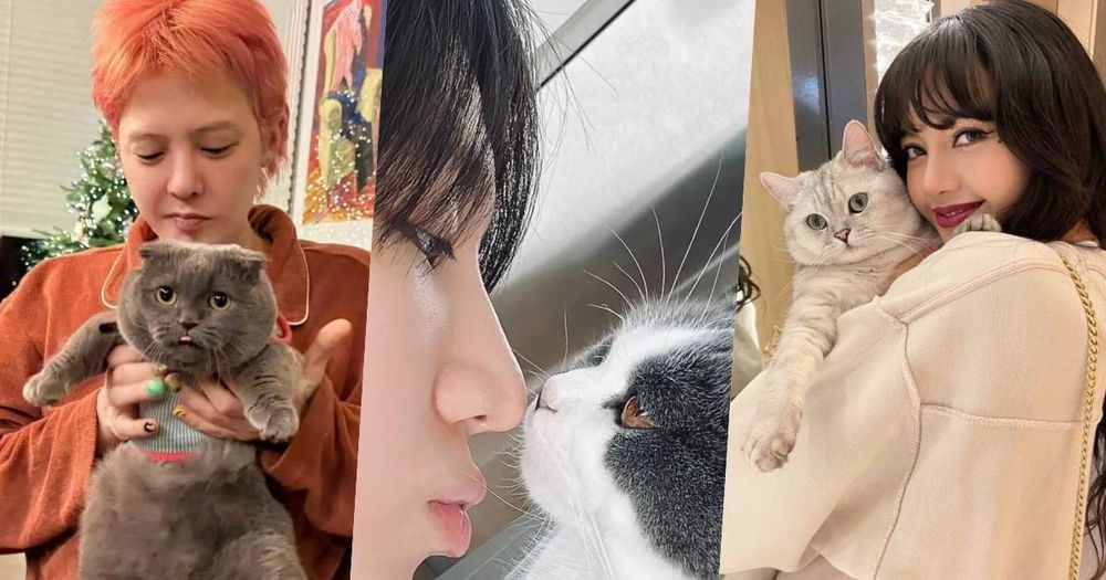 頂流韓星私下也是貓奴！SHINee泰民、Stray Kids Lee Know...，ZOA人氣不輸主人GD！-1