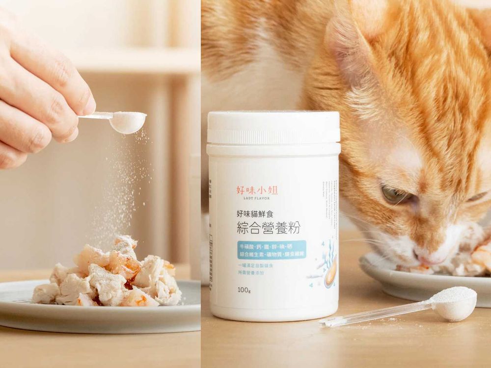 頂流韓星私下也是貓奴！SHINee泰民、Stray Kids Lee Know...，ZOA人氣不輸主人GD！-13