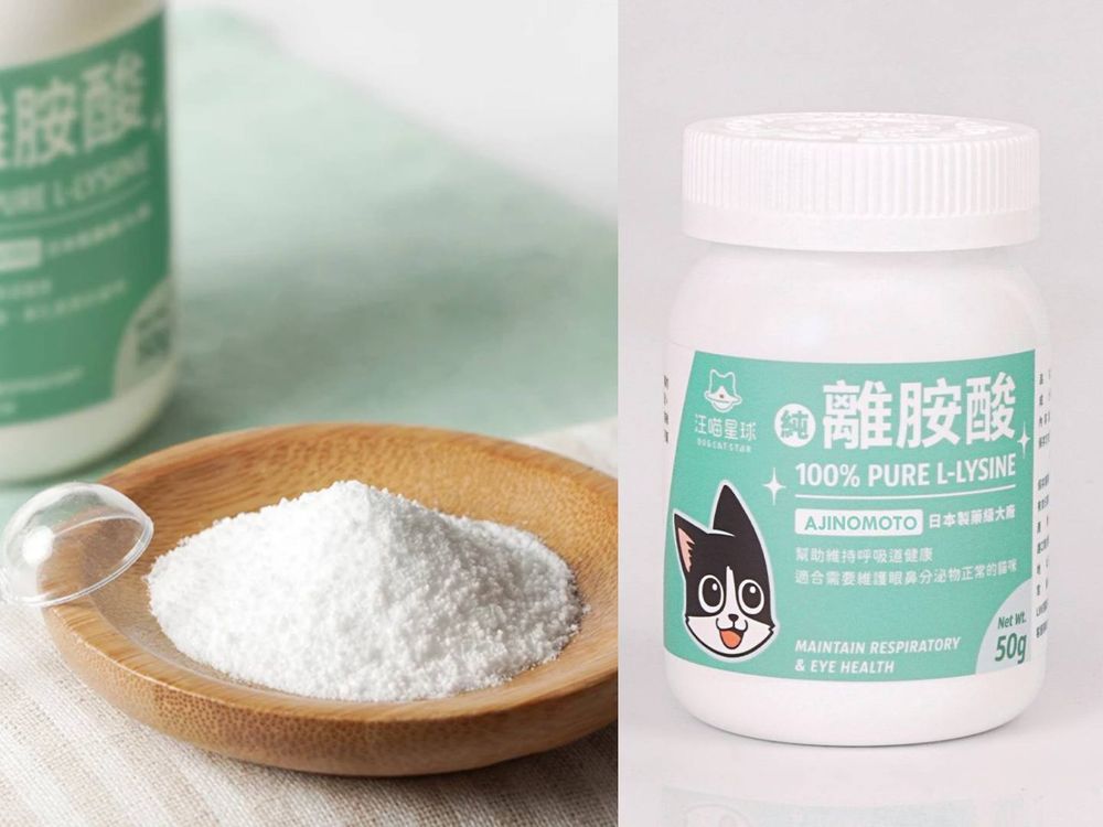 頂流韓星私下也是貓奴！SHINee泰民、Stray Kids Lee Know...，ZOA人氣不輸主人GD！-14