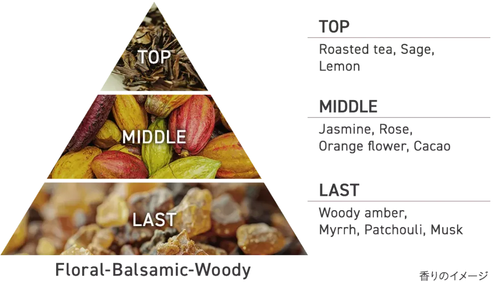 Aesop平替爆紅！日本Biore再推「焙茶香洗手乳」洗出濃郁茶香，高級感直接拉滿！-5