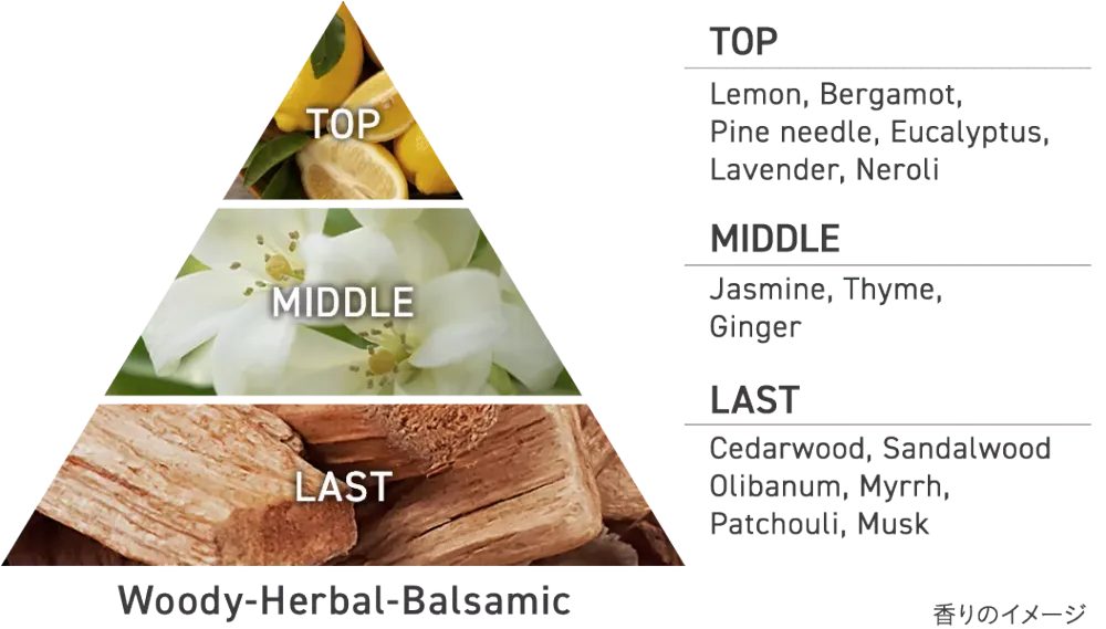 Aesop平替爆紅！日本Biore再推「焙茶香洗手乳」洗出濃郁茶香，高級感直接拉滿！-9
