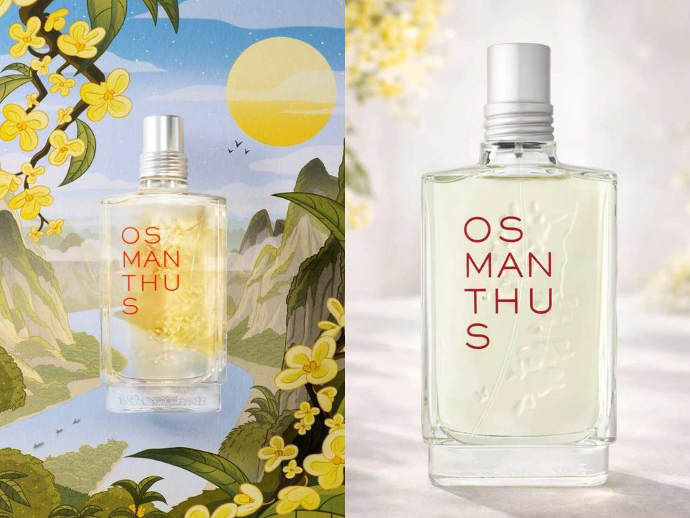 42們在看嗎？TWS同款香水清單，申惟BYREDO清新小白花、道勳Diptyque皂感天花板，全團愛用香味細節一次看懂！-8