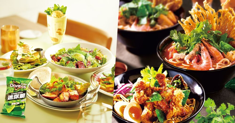 大心&樂子「香菜祭」限定新菜來了！「香菜椒麻雞拌麵、厚培根香菜沙拉」太欠吃，還能抽不限航點來回機票！-11