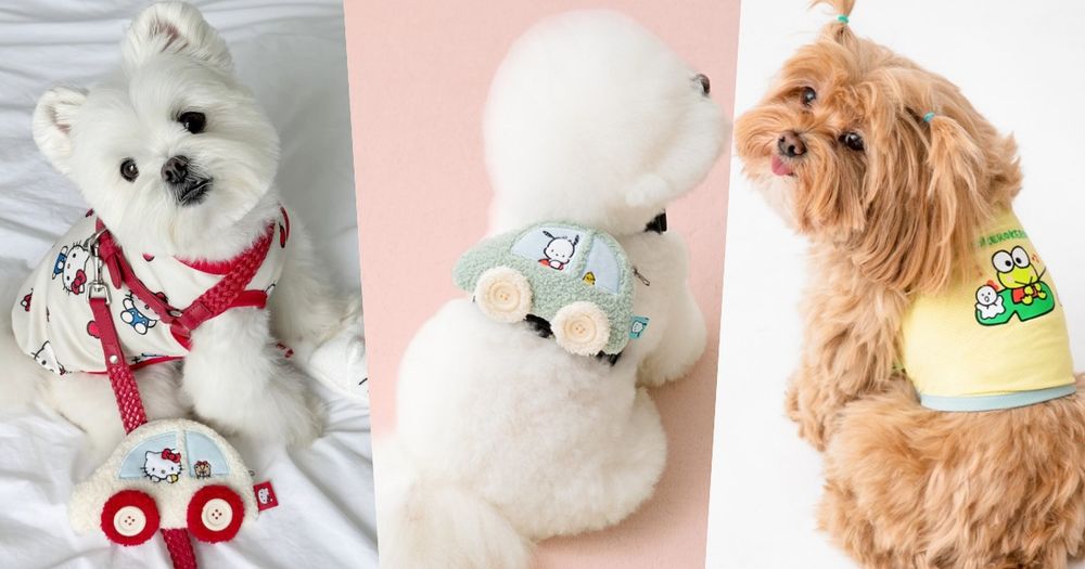 連韓牌都淪陷！三麗鷗聯名「寵物系列」可愛到失控！Kitty背心、帕洽狗車車小背包...還有冰枕收納包！-1