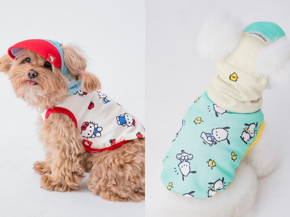連韓牌都淪陷！三麗鷗聯名「寵物系列」可愛到失控！Kitty背心、帕洽狗車車小背包...還有冰枕收納包！-2