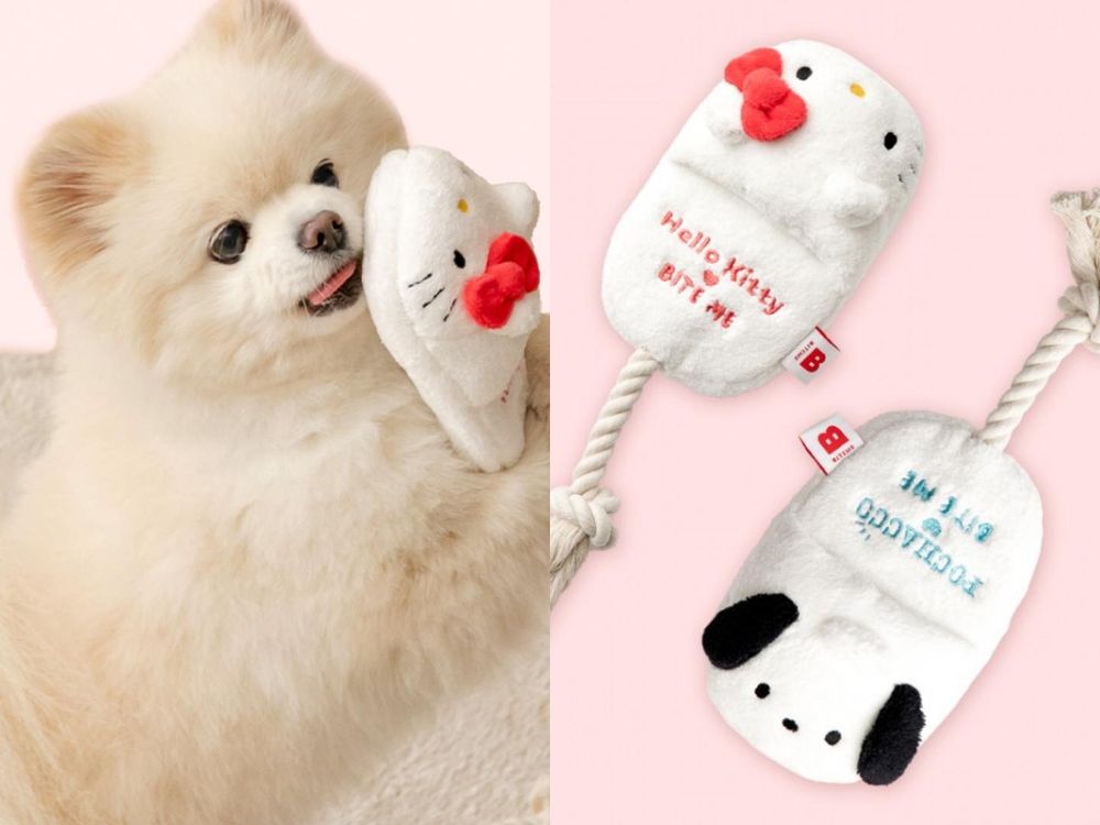 連韓牌都淪陷！三麗鷗聯名「寵物系列」可愛到失控！Kitty背心、帕洽狗車車小背包...還有冰枕收納包！-10