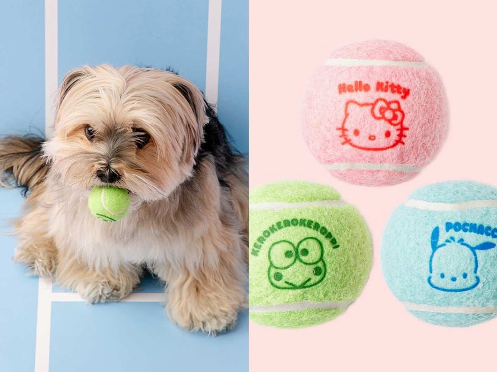 連韓牌都淪陷！三麗鷗聯名「寵物系列」可愛到失控！Kitty背心、帕洽狗車車小背包...還有冰枕收納包！-11