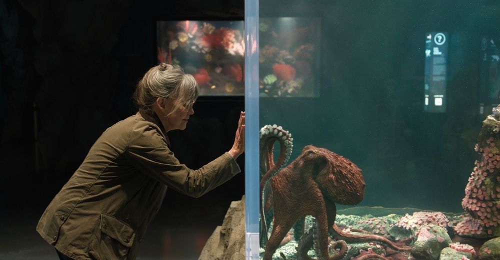 2026五月Netflix影集電影推薦片單！朴恩斌新劇《超能路人甲》上線，原創綜藝《劉在錫的民宿法則！》超期待！-6