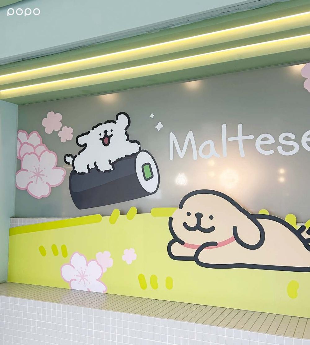 爭鮮跟線條小狗聯名啦！萌翻「鮮蝦壽司小金毛吊飾、Maltese茶碗蒸購物袋」全都太想要！-7