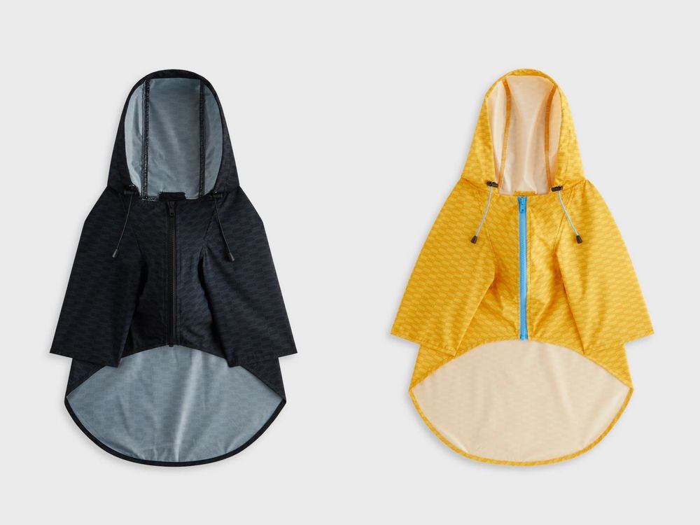 Lisa愛牌KITH也加入毛孩戰局！最新寵物系列「滿版風衣、胸背帶」被問爆！這波聯名直接刷新標準！-3