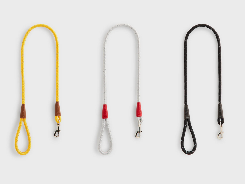 Lisa愛牌KITH也加入毛孩戰局！最新寵物系列「滿版風衣、胸背帶」被問爆！這波聯名直接刷新標準！-6