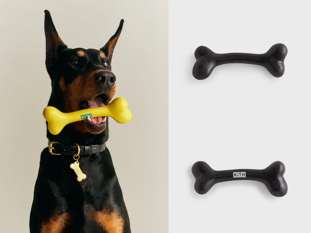 Lisa愛牌KITH也加入毛孩戰局！最新寵物系列「滿版風衣、胸背帶」被問爆！這波聯名直接刷新標準！-12