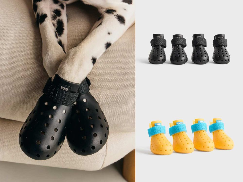 Lisa愛牌KITH也加入毛孩戰局！最新寵物系列「滿版風衣、胸背帶」被問爆！這波聯名直接刷新標準！-4