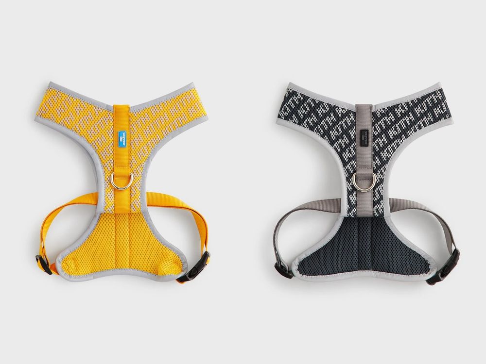 Lisa愛牌KITH也加入毛孩戰局！最新寵物系列「滿版風衣、胸背帶」被問爆！這波聯名直接刷新標準！-7