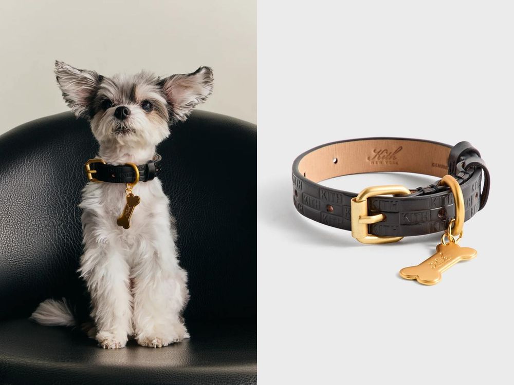 Lisa愛牌KITH也加入毛孩戰局！最新寵物系列「滿版風衣、胸背帶」被問爆！這波聯名直接刷新標準！-9