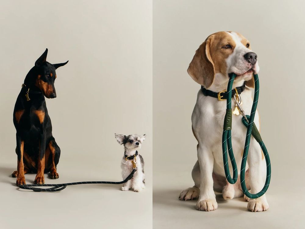 Lisa愛牌KITH也加入毛孩戰局！最新寵物系列「滿版風衣、胸背帶」被問爆！這波聯名直接刷新標準！-5