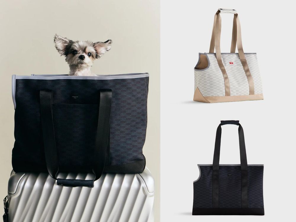 Lisa愛牌KITH也加入毛孩戰局！最新寵物系列「滿版風衣、胸背帶」被問爆！這波聯名直接刷新標準！-10