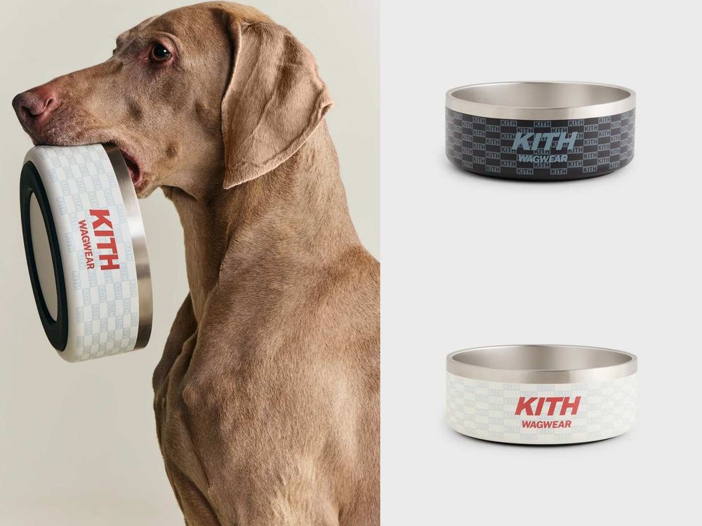 Lisa愛牌KITH也加入毛孩戰局！最新寵物系列「滿版風衣、胸背帶」被問爆！這波聯名直接刷新標準！-11