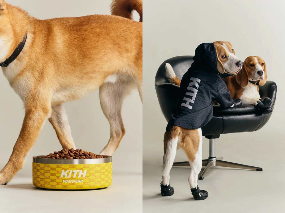 Lisa愛牌KITH也加入毛孩戰局！最新寵物系列「滿版風衣、胸背帶」被問爆！這波聯名直接刷新標準！-13