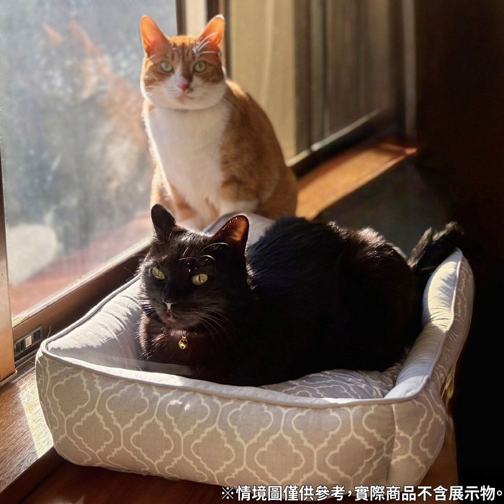 2026宜得利最新必買6大寵物用品推薦！涼感寵物床夏天必備、「寵物邊桌」讓你跟毛孩天天黏在一起！-1