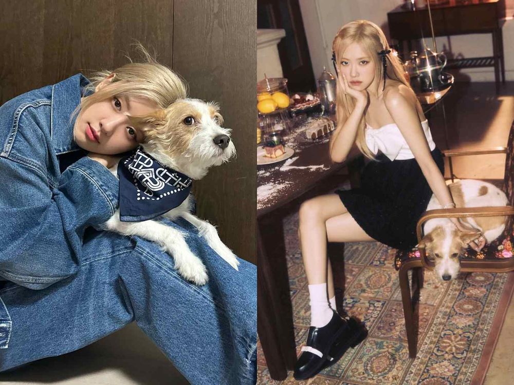 實踐「領養代替購買」韓星毛孩盤點！Rosé、子瑜、V領養浪浪故事逼哭全網，從被遺棄到變最幸福家人！-7