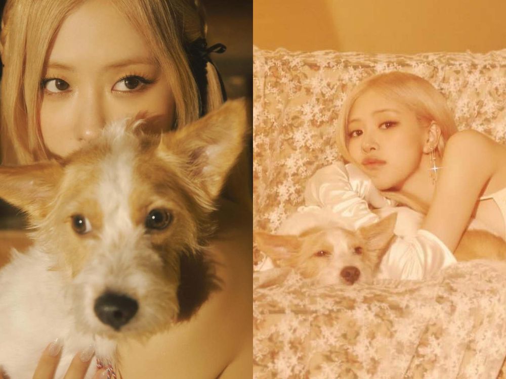 實踐「領養代替購買」韓星毛孩盤點！Rosé、子瑜、V領養浪浪故事逼哭全網，從被遺棄到變最幸福家人！-6