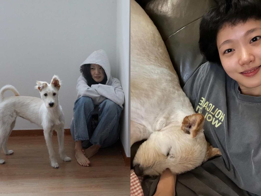 實踐「領養代替購買」韓星毛孩盤點！Rosé、子瑜、V領養浪浪故事逼哭全網，從被遺棄到變最幸福家人！-9