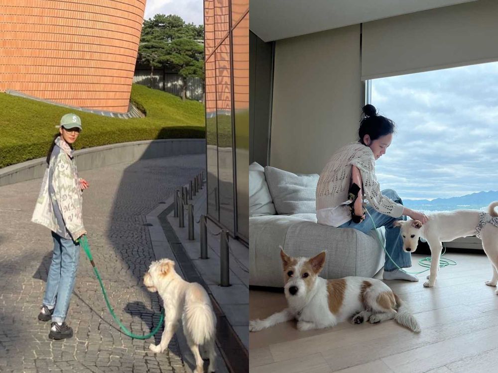實踐「領養代替購買」韓星毛孩盤點！Rosé、子瑜、V領養浪浪故事逼哭全網，從被遺棄到變最幸福家人！-8