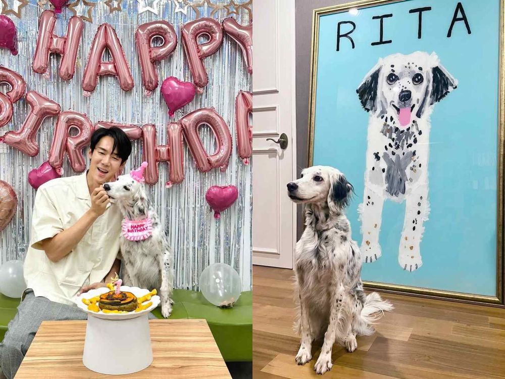 實踐「領養代替購買」韓星毛孩盤點！Rosé、子瑜、V領養浪浪故事逼哭全網，從被遺棄到變最幸福家人！-16
