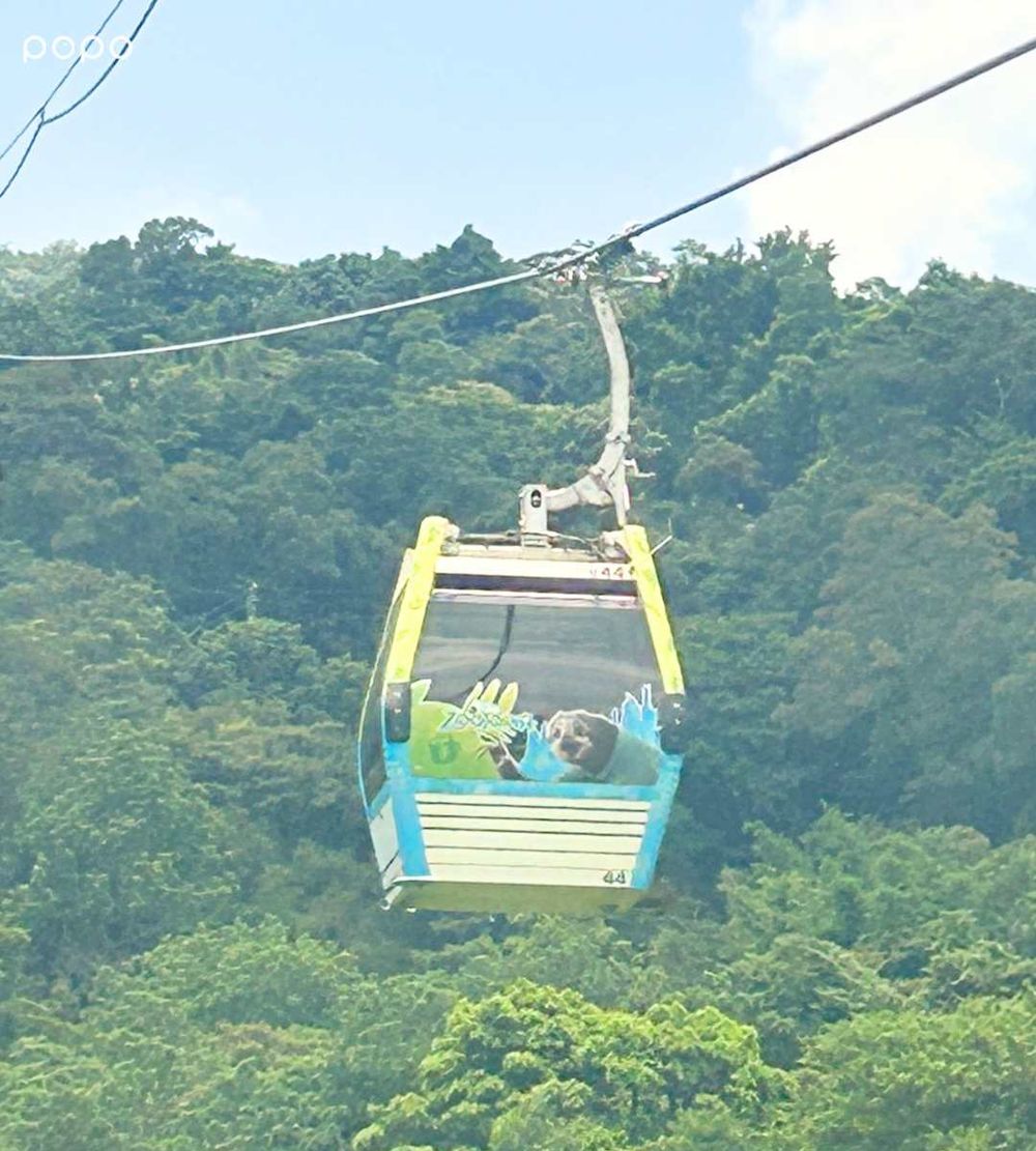貓空纜車跟《動物方城市》聯名啦！動物園站&貓空站打卡點可愛發瘋、還有8款主題車廂要收集！-17