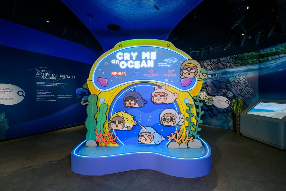 2026新加坡必去景點！「海底生物CRYBABY」降臨新加坡海洋生態館、5公尺高「河豚哭娃」必拍！-6