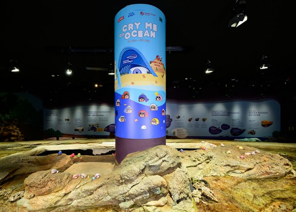 2026新加坡必去景點！「海底生物CRYBABY」降臨新加坡海洋生態館、5公尺高「河豚哭娃」必拍！-14