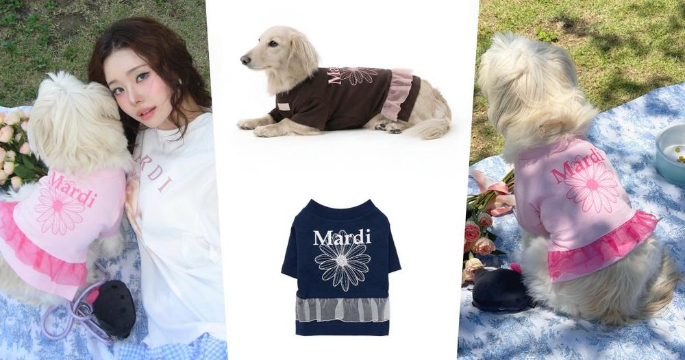 毛孩也要穿小雛菊！Mardi Mercredi全新「蕾絲小洋裝」可愛到發瘋！爸媽會忍不住想包色！-1