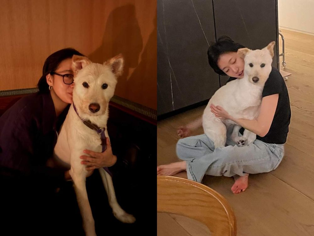 毛孩也要穿小雛菊！Mardi Mercredi全新「蕾絲小洋裝」可愛到發瘋！爸媽會忍不住想包色！-6