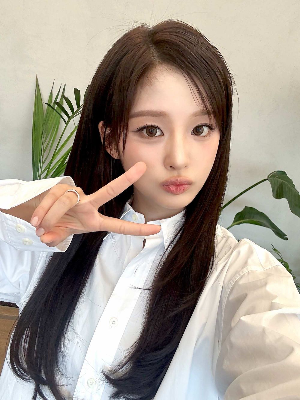 網熱議眼睛最美的KPOP女偶像！張員瑛甜美感十足，Jisoo無辜桃花眼，子瑜標準「大眼美人」-8