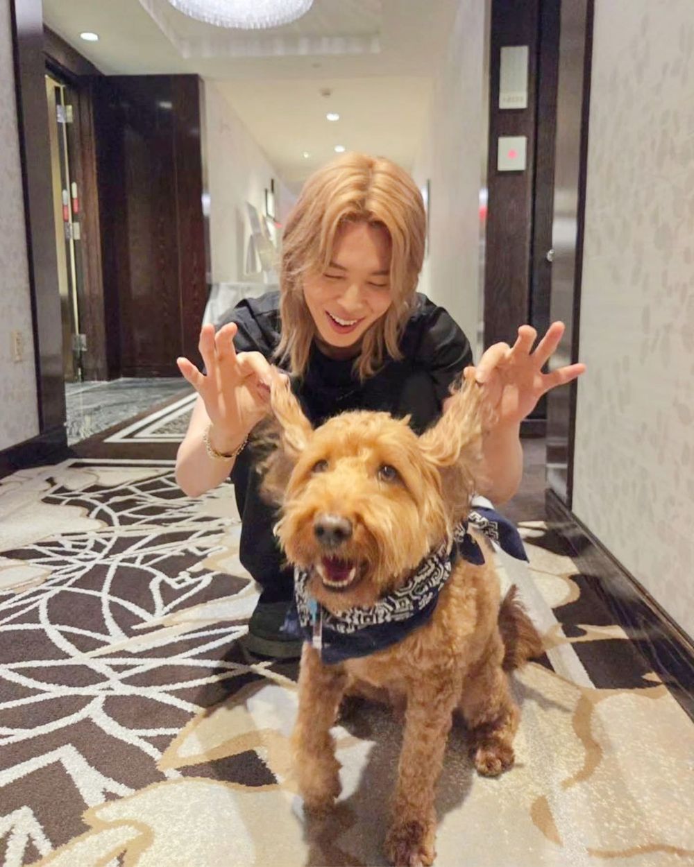 BTS竟然有專屬情緒支援犬！Jimin、V社群都狂曬的狗狗Stoney Blue，正是世巡演唱會「安撫高壓」的團寵！-4