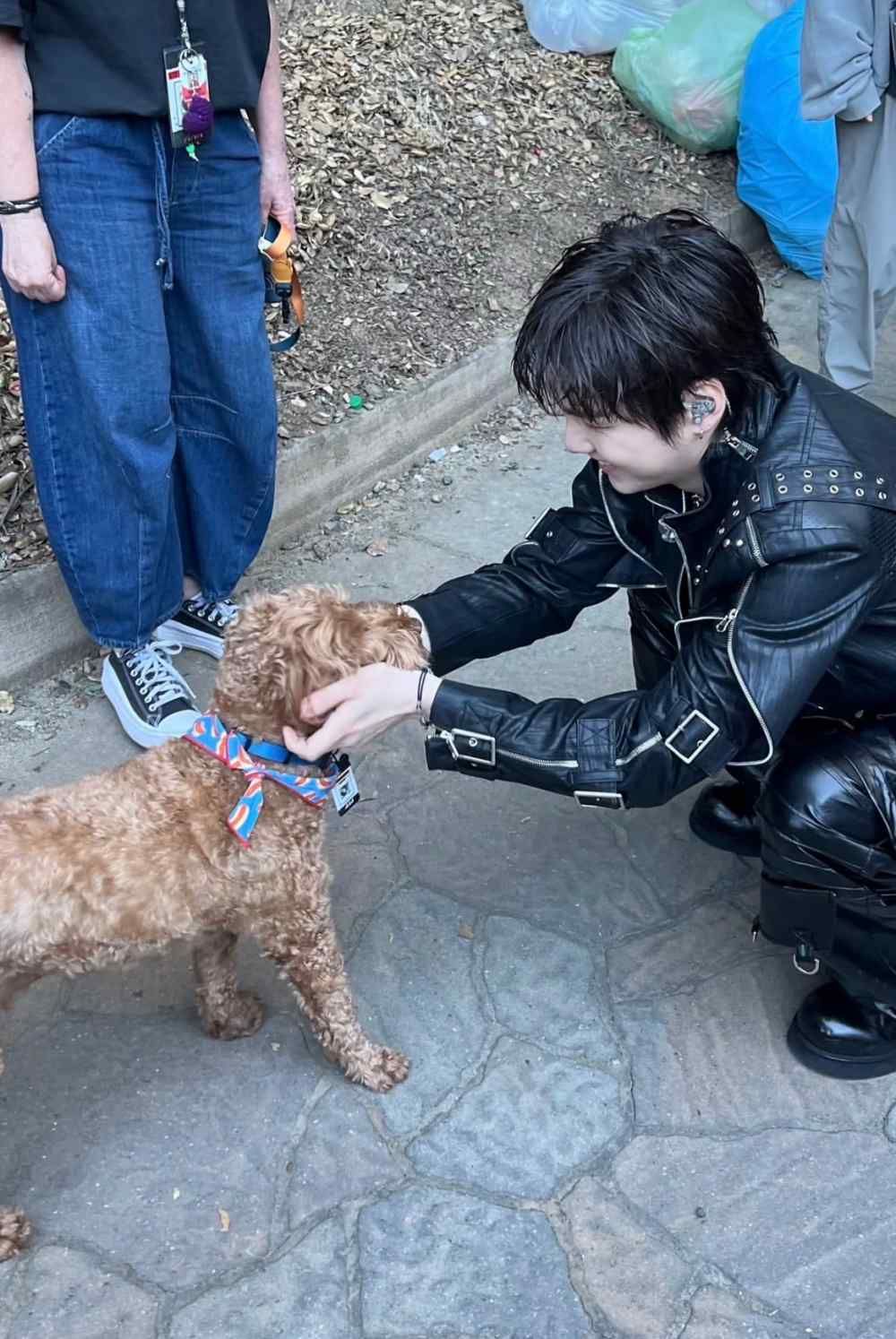 BTS竟然有專屬情緒支援犬！Jimin、V社群都狂曬的狗狗Stoney Blue，正是世巡演唱會「安撫高壓」的團寵！-3