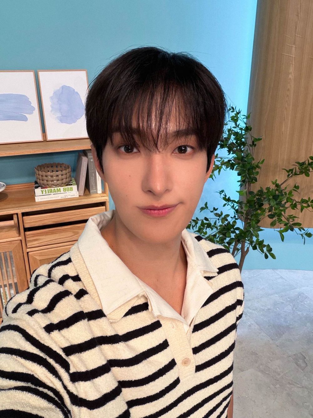 2026必聽10首愛豆獻唱OST！SKZ HAN《柔美的細胞小將3》唱出粉紅泡泡，SVT DINO也為《給你夢想》獻聲！-2