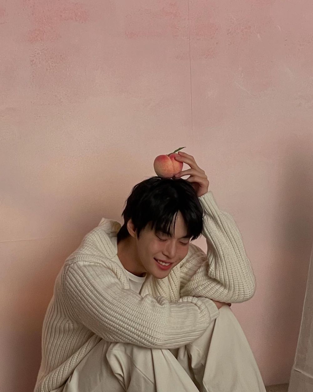 2026必聽10首愛豆獻唱OST！SKZ HAN《柔美的細胞小將3》唱出粉紅泡泡，SVT DINO也為《給你夢想》獻聲！-6